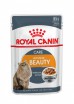 ������� ���� ��� ����� Royal Canin ������ ����� � ���� - ���� ���� �����, ������������