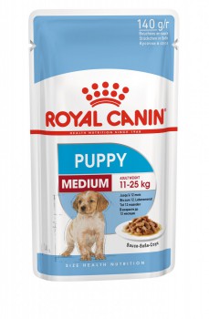���� ����� ���� ������ ����� ���� - ���� ���� �����, ������������